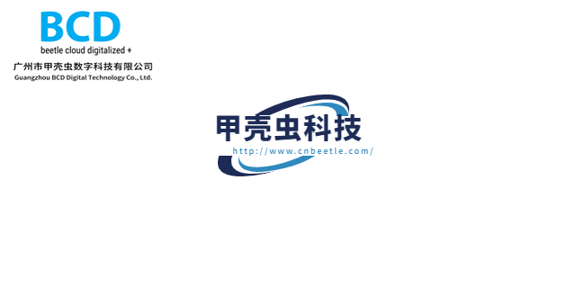 甲殼蟲獨(dú)立站營銷