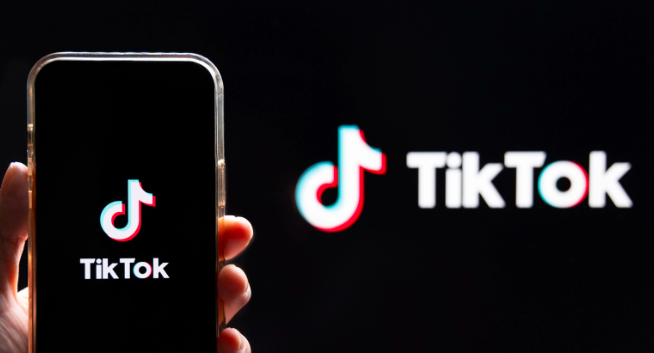 TikTok為獨(dú)立站引流